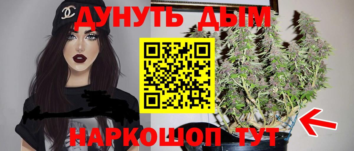 Шишки марихуана сатива  Марихуана планчик  Вход с VPN  Каннабис конопля  Сосновый Бор 